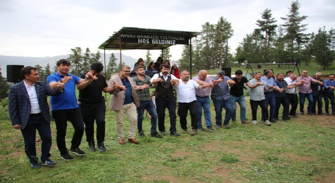 Ayvalı Köyü’nde festival coşkusu 